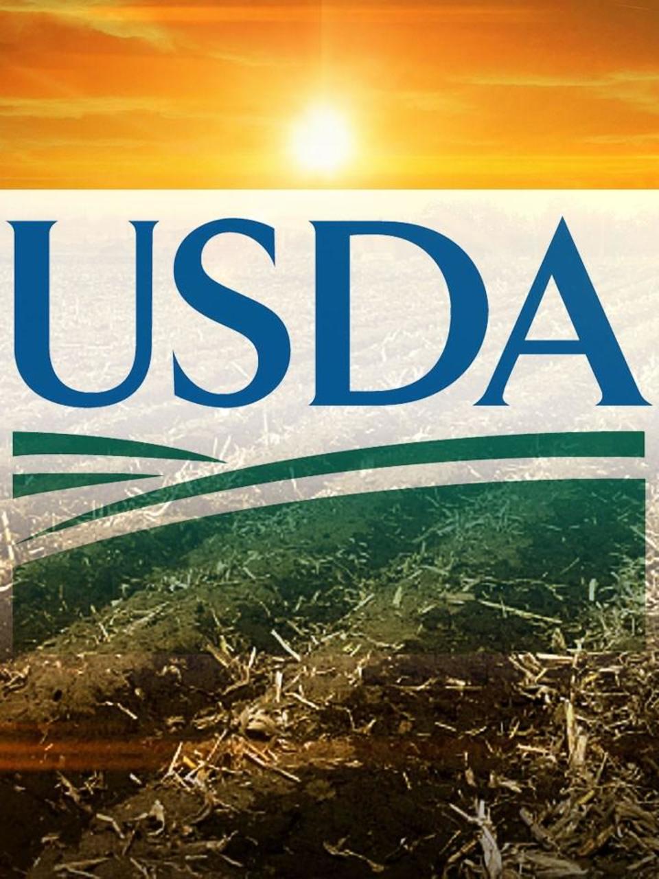 West Texas A M Announced As Usda Cattle And Carcass Grading