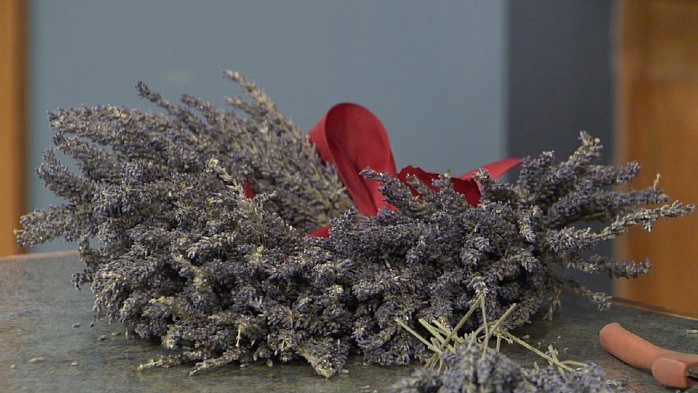 041712lavender.jpg_BIM.jpg