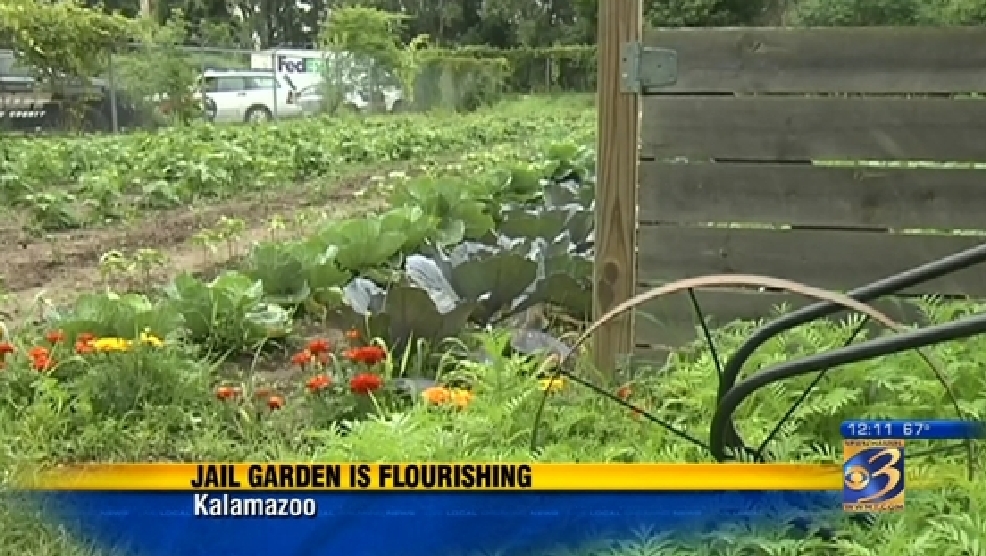Inmate Garden Helps To Feed The Hungry Wwmt