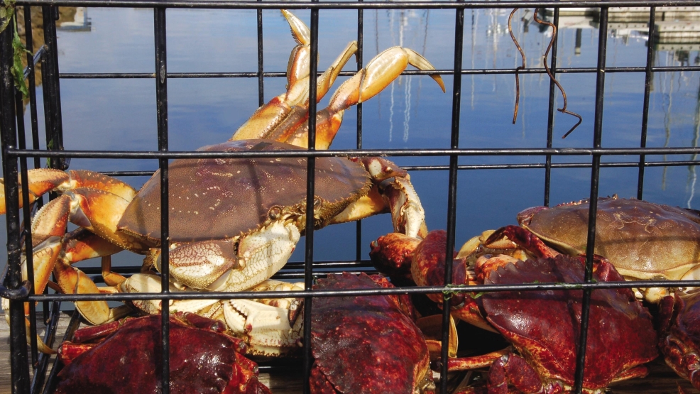Recreational crabbing opens on the Southern Oregon coast Mail Tribune