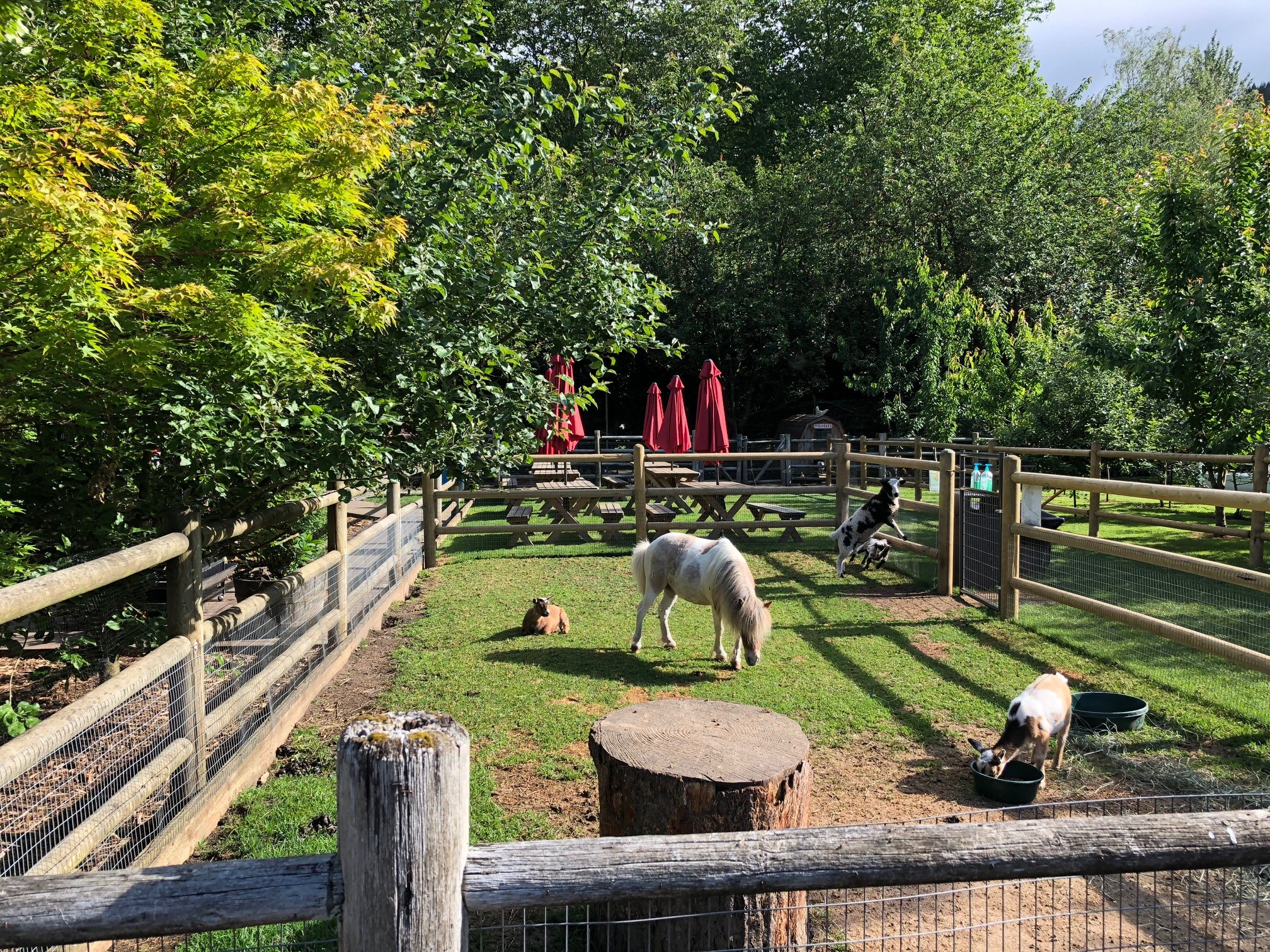 A BIG Barn Sale at Fox Hollow Family Farm Seattle Refined