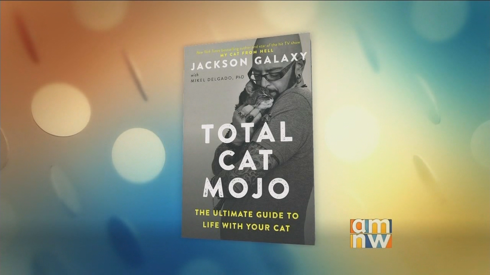 jackson galaxy total cat mojo