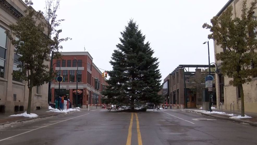 Annual Christmas tree arrives in Downtown Traverse City WPBN