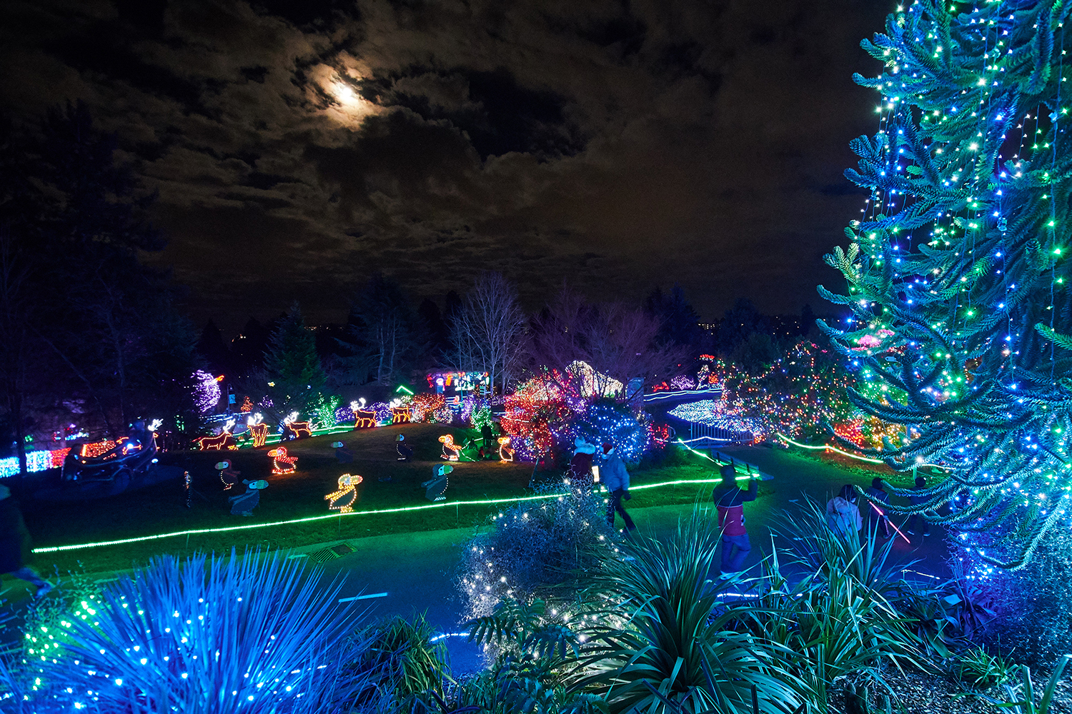 Photos A Walking Tour of ZooLights at Point Defiance Zoo & Aquarium