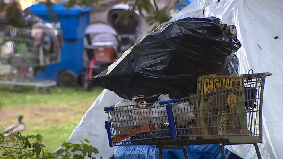 Parents worry as homeless camp keeps growing behind Seattle school 210426_komo_school_homeless_camp_01.jpg