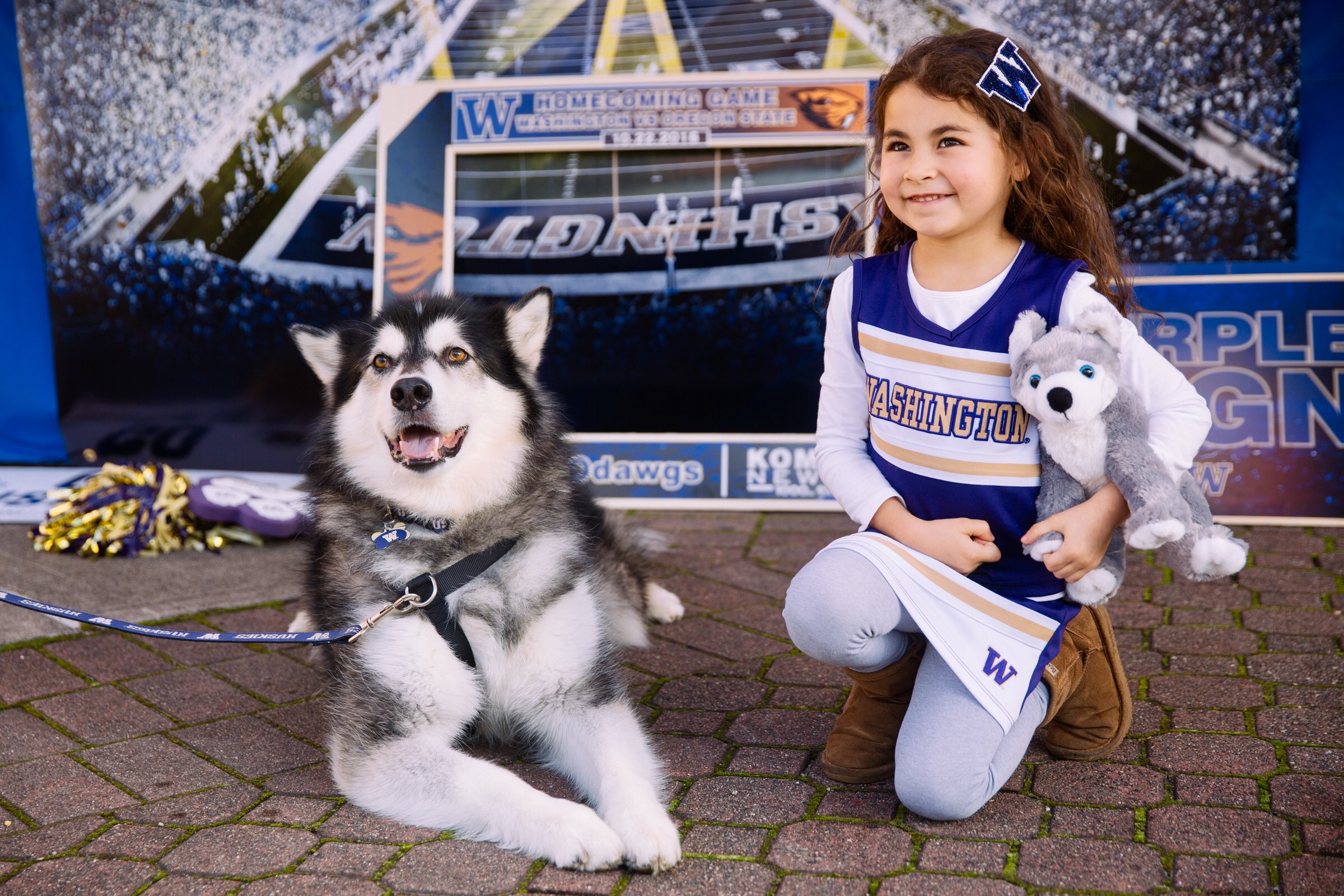 UW Husky mascot 'Dubs' to retire after 2018 football season | KPIC