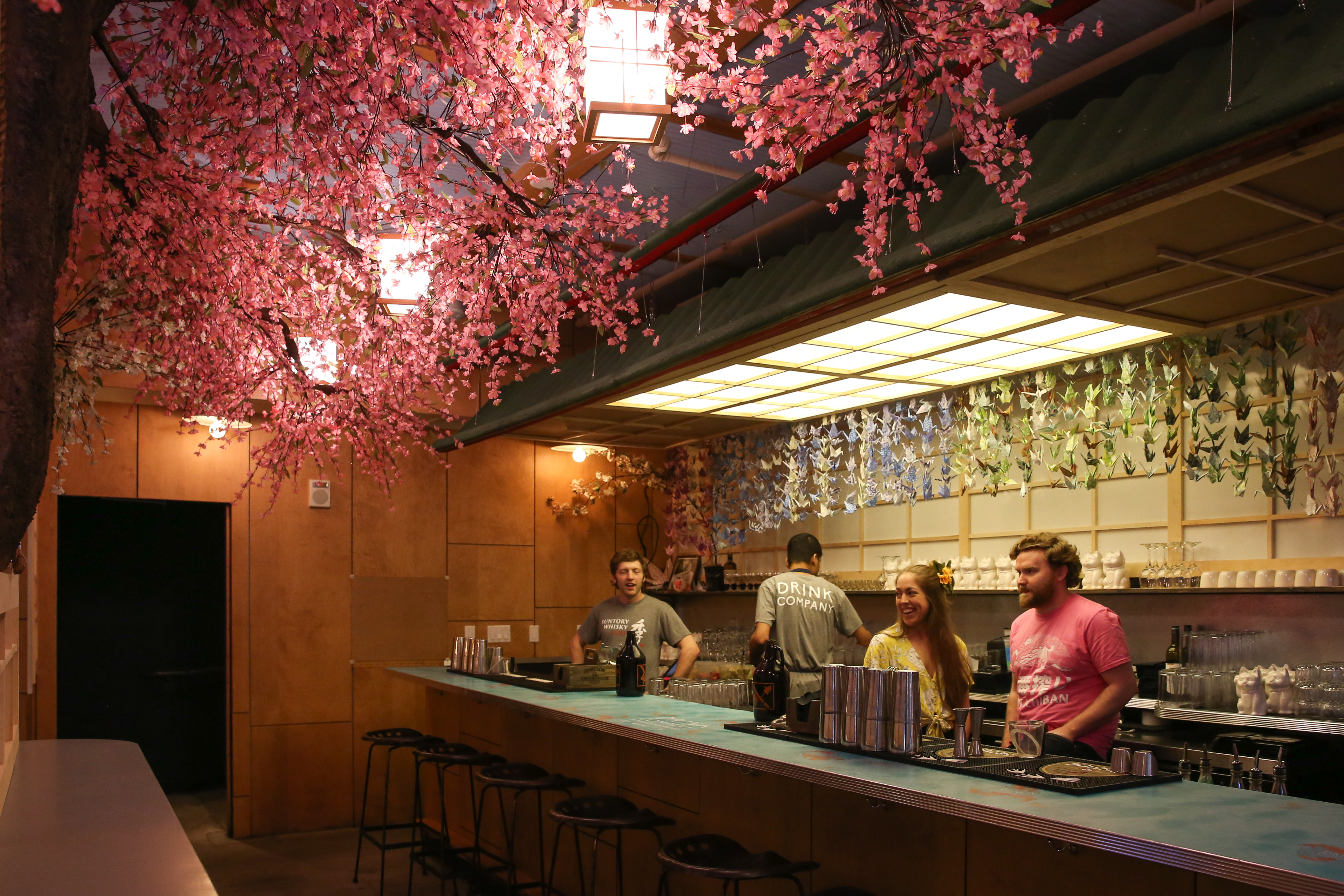 This year's Cherry Blossom PUB has 90,000 flowers DC Refined