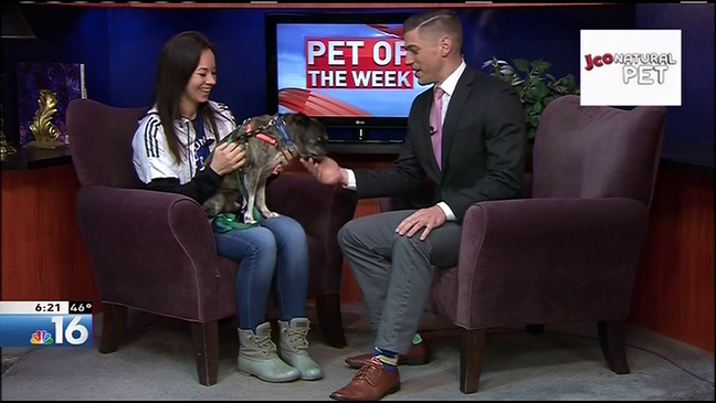 Pet Of The Week!