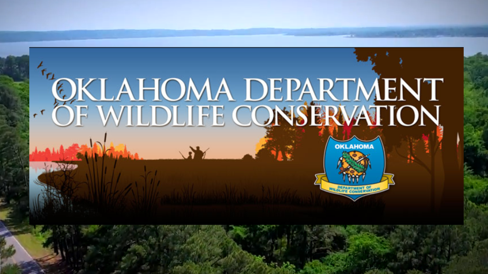 Oklahoma Dept. of Wildlife offering free Hunter Education course KTUL