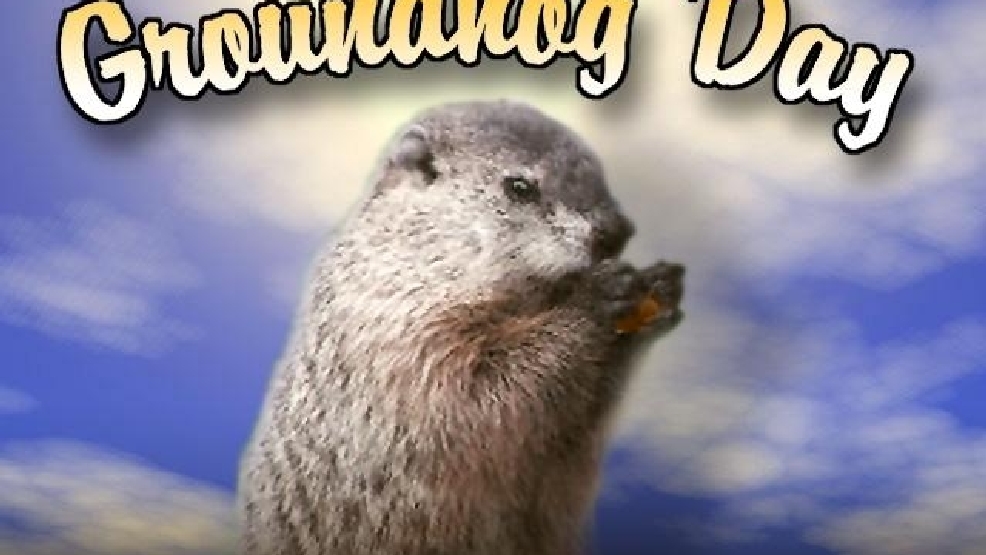 Are groundhogs good at predicting the weather? | WSTM