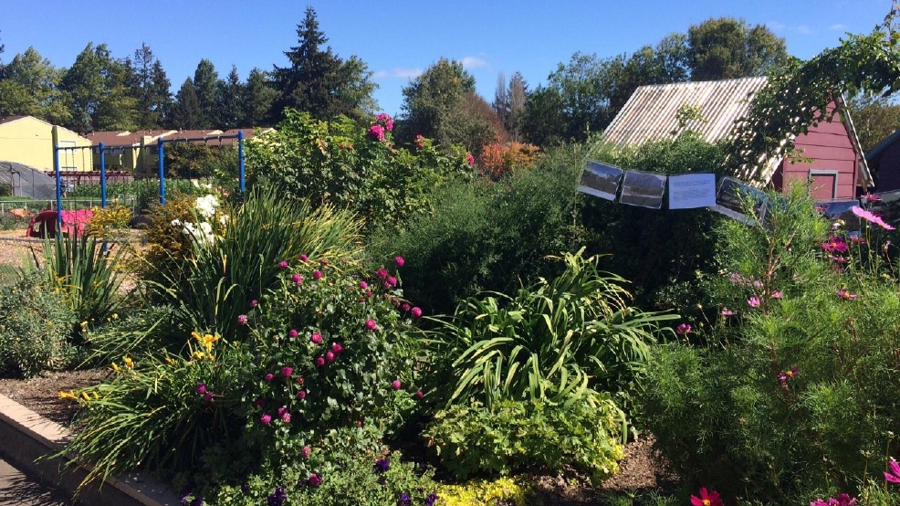 Grassroots Garden seeks more helping hands KVAL