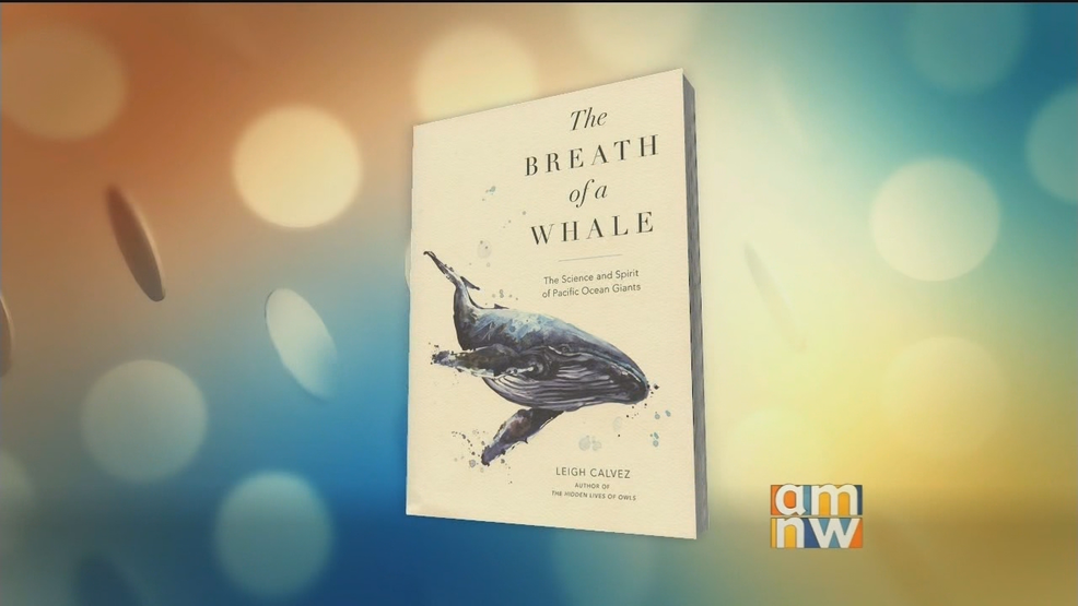 Breath of a Whale.png