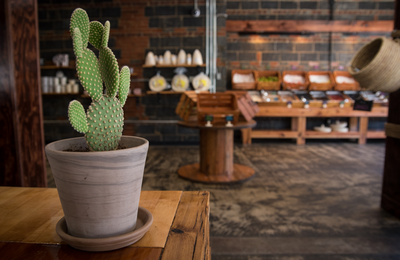 Mazunte Mercado Is Everything You Love About The Restaurant, But In