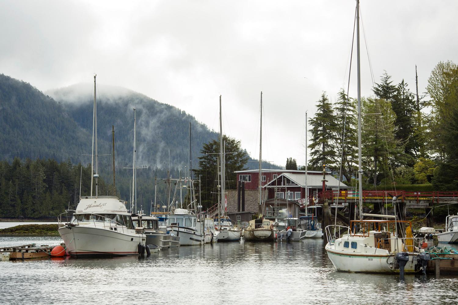 Adventure Seekers - Tofino Resort + Marina Is The Perfect Fit For You ...