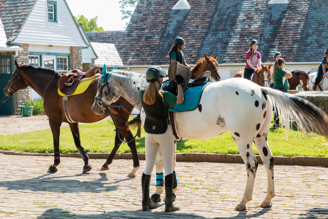 Greenacres Equine Center Lets You Take Their Horse to the Old Town Road