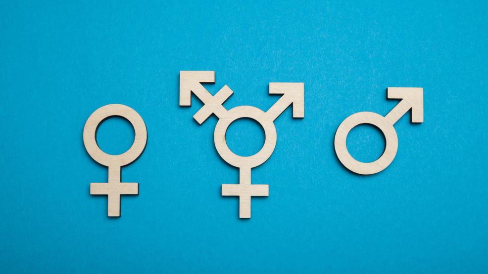 Bill allowing 'X' gender on licenses law in New Hampshire WGME