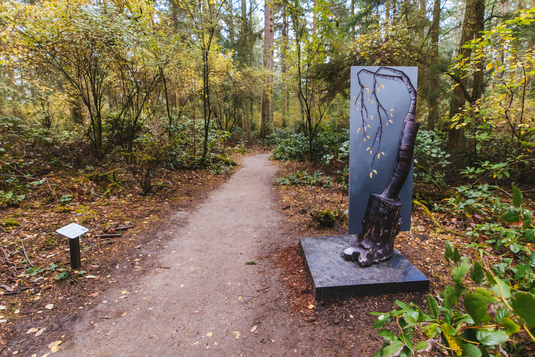 Photos New sculpture forest opens on Whidbey Island Seattle Refined