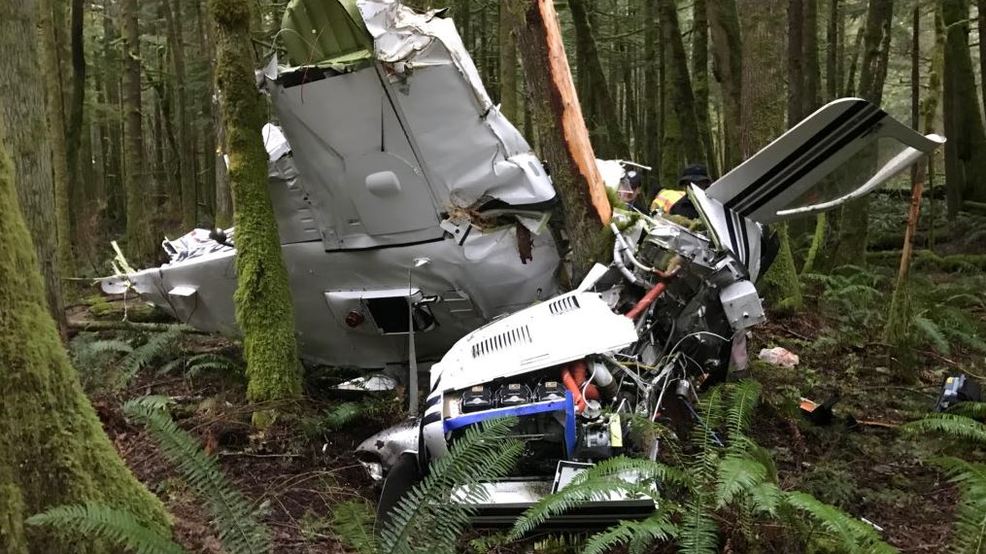 Pilot survives after small plane crash near Enumclaw KATU