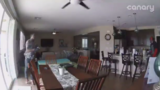 Home burglars steal guns, cash, and jewelry in under five minutes