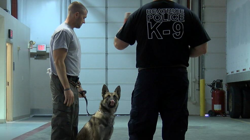 Psychology professor learns from NSP K9's about dog-human interaction - NTV