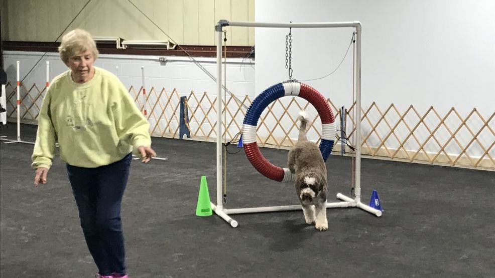 agility fun