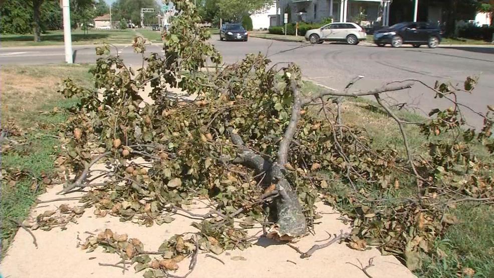 Springfield to start storm damage branch pick up WRSP