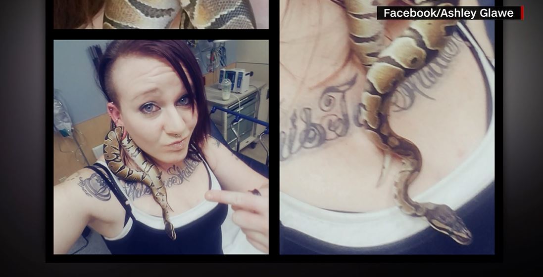 Image result for pictures of woman with python stuck in gauge