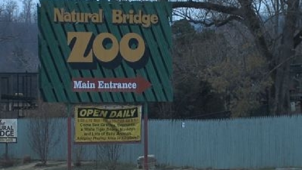 Owner of Natural Bridge Zoo Says It Will ReOpen in May WSET