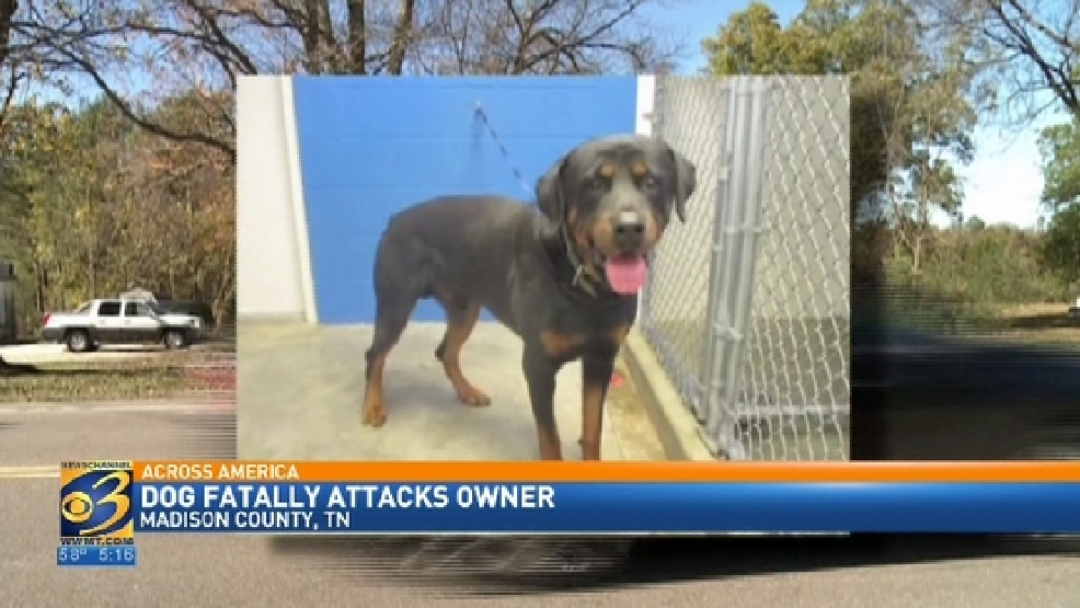 Dog attacks and kills owner in Tennessee WWMT