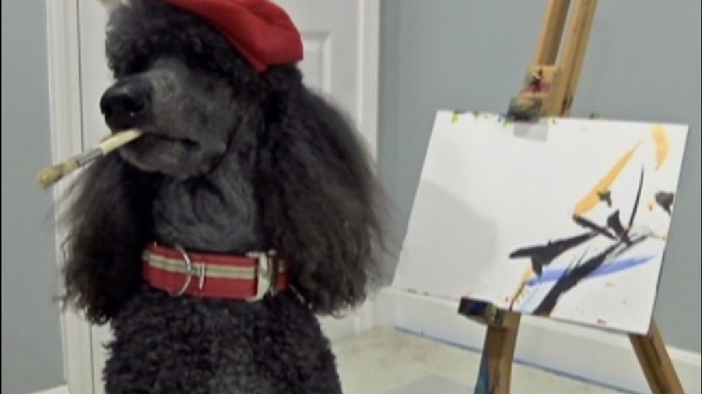cnn-poodlepaints.jpg