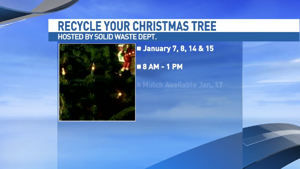 get your christmas tree recycled after the holidays woai get your christmas tree recycled after the holidays woai