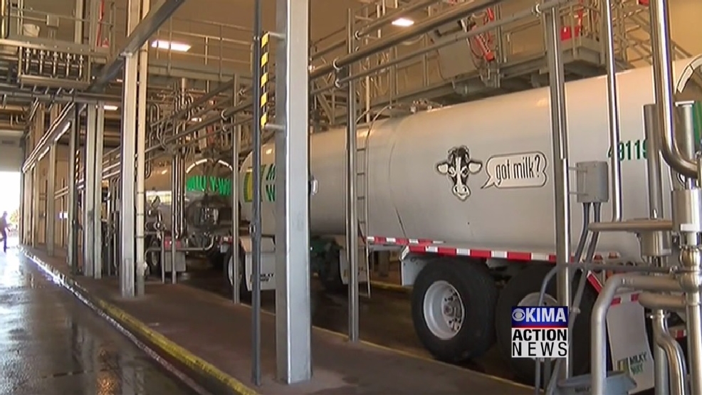 Darigold Plant In Sunnyside Celebrates Expansion Kima