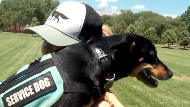 Walmart apologizes after Utah woman harassed for off leash service dog