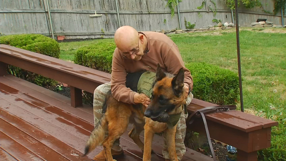 Pets Stream Deutsch Movie2k Pets Stream Deutsch Movie2k