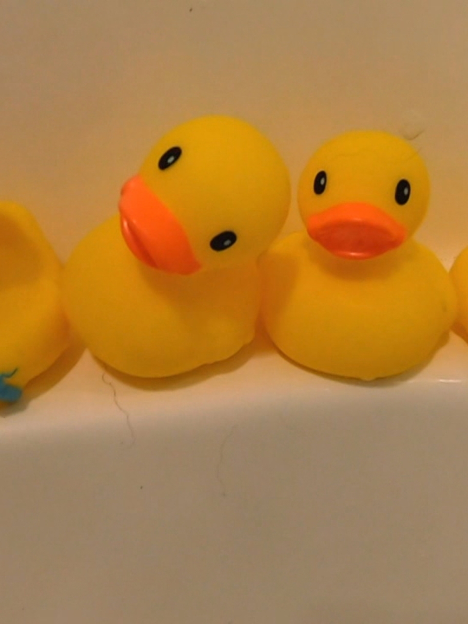 bathtub rubber ducks